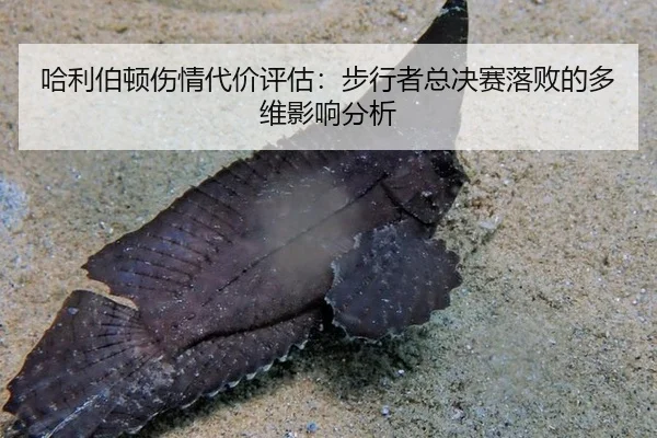 ha-li-bo-dun-shang-qing-dai-jia-ping-gu-bu-xing-zhe-zong-jue-sai-luo-bai-de-duo-wei-ying-xiang-fen-xi-2-134.jpg