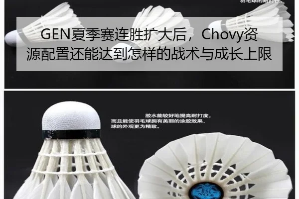 xia-ji-sai-lian-sheng-kuo-da-hou-zi-yuan-pei-zhi-hai-neng-da-dao-zen-yang-de-zhan-shu-yu-cheng-zhang-shang-xian-2-504.jpg