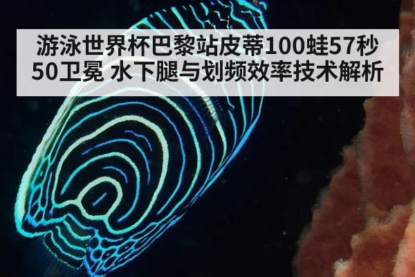 游泳世界杯巴黎站皮蒂100蛙57秒50卫冕 水下腿与划频效率技术解析